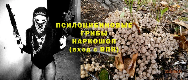 твердый Абаза