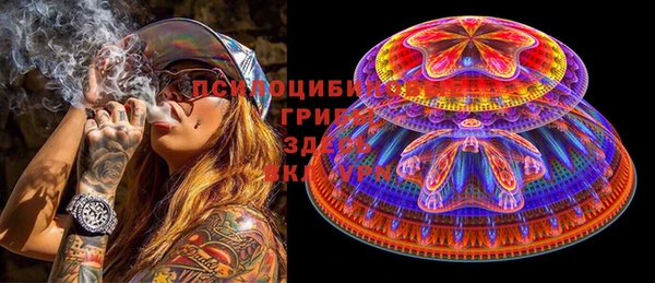 индика Абинск