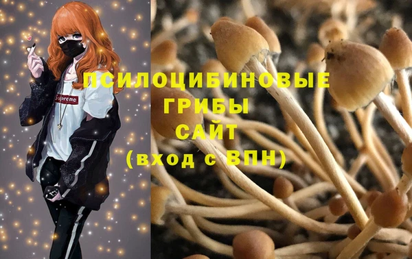 apvp Абдулино