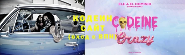 индика Абинск