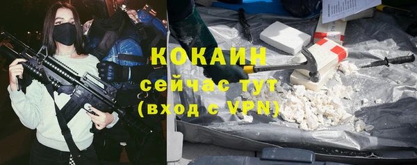 индика Абинск