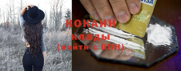 твердый Абаза