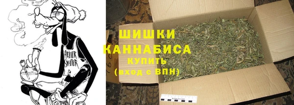 твердый Абаза