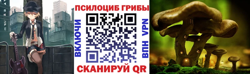 Псилоцибиновые грибы ЛСД  Кудымкар 